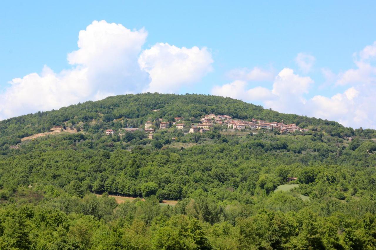 Ciciano Agriturismo La Via Dell'Oliviera מראה חיצוני תמונה